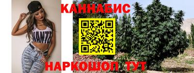 бошки Сланцы