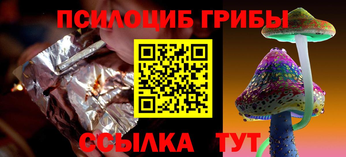 Псилоцибиновые грибы Psilocybine cubensis  Вход с VPN  Отрадное 